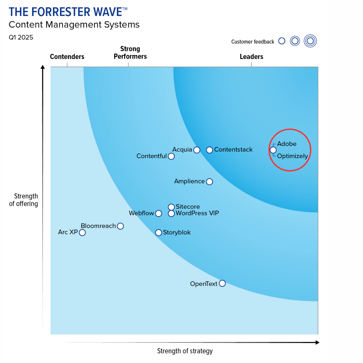 2. The Forrester Wave™ for Content Management